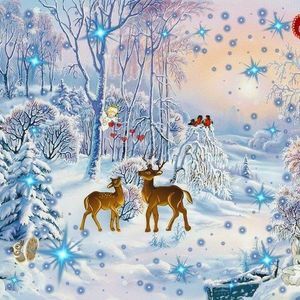 Meet your Posher, Jeanette